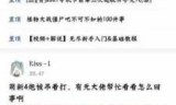 游戏下载植物大战僵尸_如何下载植物大战僵尸
