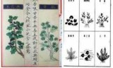 帝国时代2迅雷下载_帝国时代4迅雷