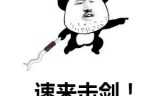 格斗游戏网游(格斗网游)