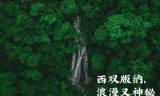 捣捣塔攻略(捣捣塔为什么不能下载了)