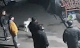 撕裂人小游戏(撕裂人小游戏7k7k)