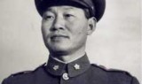 丛林之狐(丛林之狐视频)