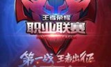 王者荣耀职业(王者荣耀怎么打职业)