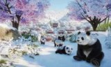 动物园大亨2(动物园大亨2004)