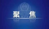 荣誉勋章2010中文版下载(荣誉勋章2010在哪里下载)