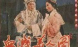 变节行动(变节行动中文版)