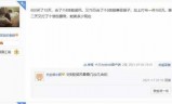梦幻西游手游抽奖(梦幻西游手游七彩驴)