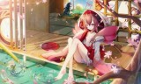 阴阳师脚本(阴阳师百鬼夜行脚本)