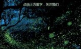 快刀切水果小游戏(scratch编程小游戏切水果)