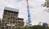 甘蔗3d斗地主单机版(单机甘蔗斗地主老版本)
