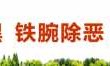 蜂蜂乐园小游戏(蜂蜂乐园官网)