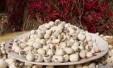 荡神志_当伸至端部直段长度圆桩怎么理解
