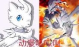 神奇宝贝萌图_神奇宝贝猛火猴进化