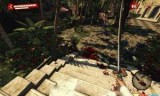 死亡岛激流修改器_死亡岛激流修改器风灵月影