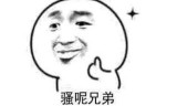 安卓游戏网(九游安卓游戏网)