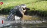 吞食_吞食孔明传攻略