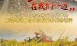 关于dnf单机版130秘籍的信息